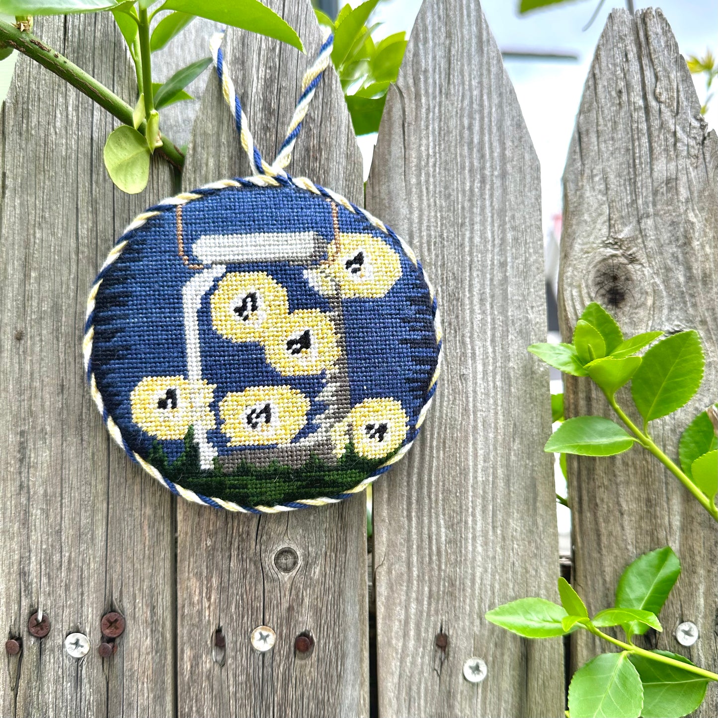 Firefly Jar
