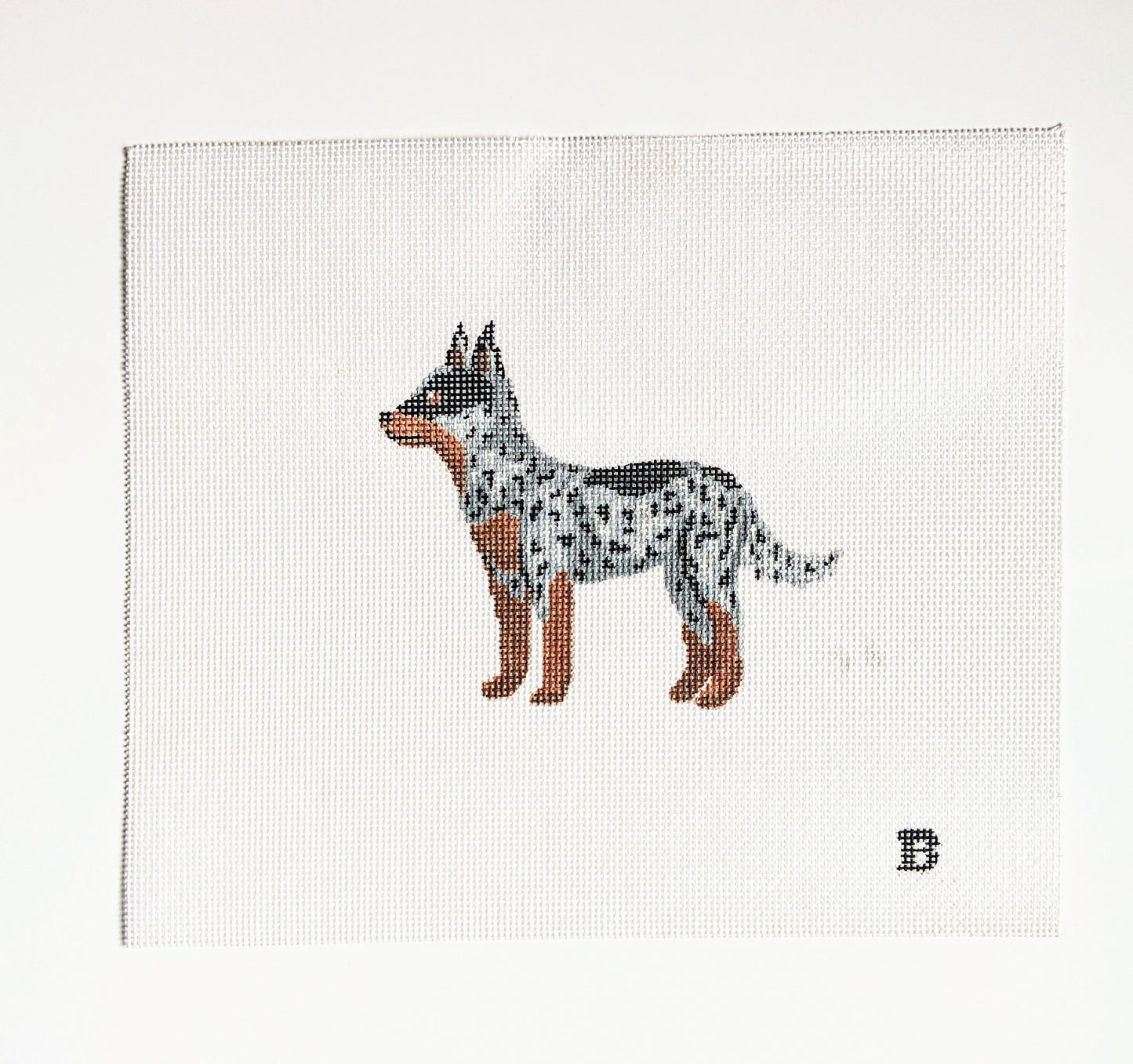 Seconds Sale - The Cali (Cattle Dog- Blue or Red Heeler)