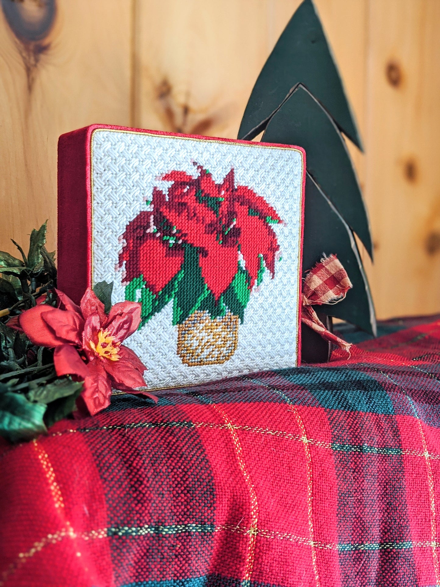 Seconds Sale - Poinsettia