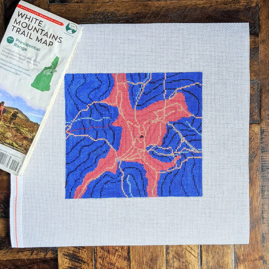 Custom Topographic Map (Large)